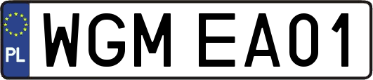 WGMEA01