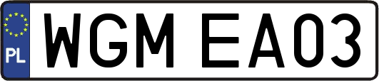 WGMEA03