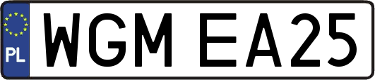 WGMEA25