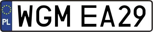 WGMEA29