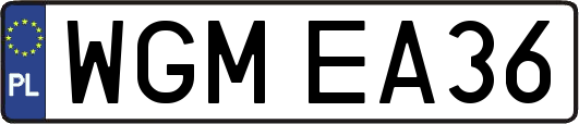 WGMEA36