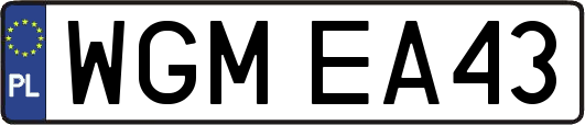 WGMEA43