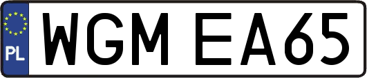 WGMEA65