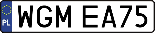 WGMEA75