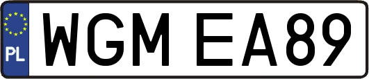 WGMEA89