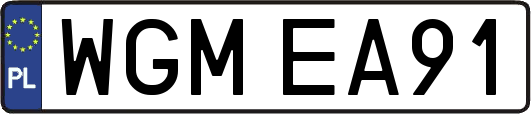 WGMEA91