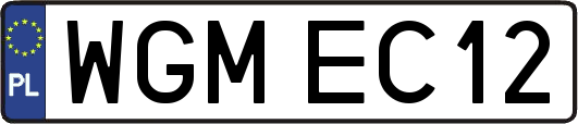 WGMEC12