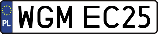 WGMEC25