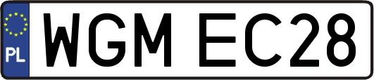 WGMEC28