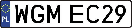 WGMEC29