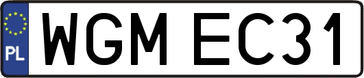 WGMEC31
