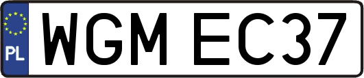 WGMEC37