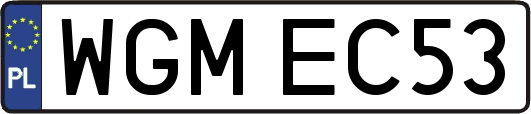 WGMEC53