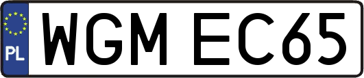 WGMEC65