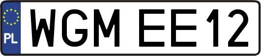 WGMEE12