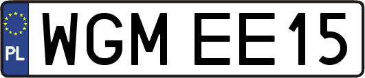 WGMEE15