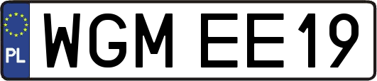 WGMEE19
