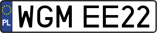 WGMEE22