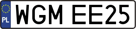 WGMEE25