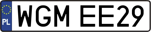 WGMEE29