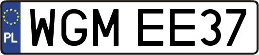 WGMEE37