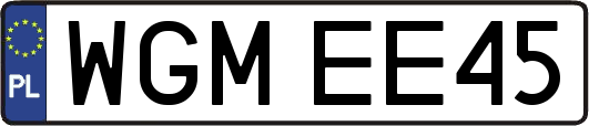 WGMEE45