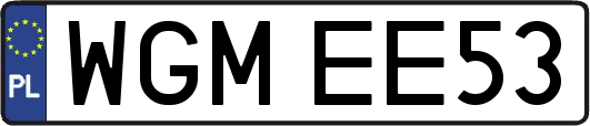 WGMEE53