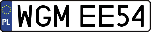 WGMEE54