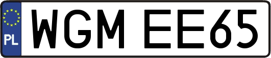 WGMEE65