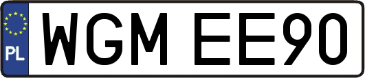 WGMEE90