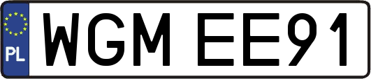 WGMEE91