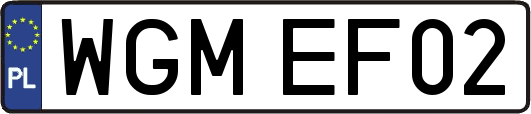 WGMEF02