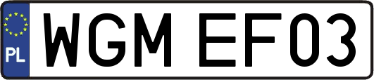 WGMEF03