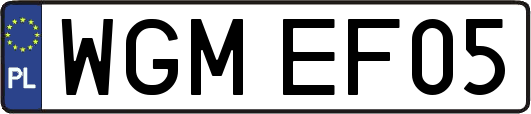 WGMEF05