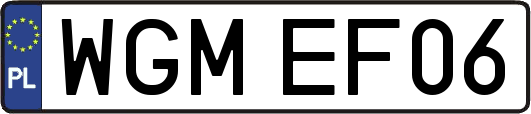 WGMEF06