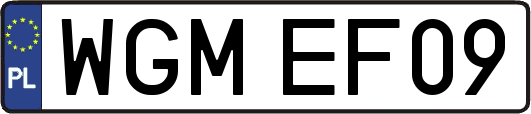 WGMEF09