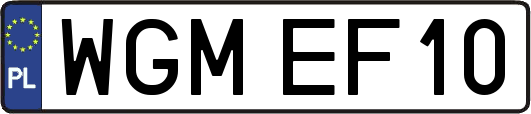 WGMEF10