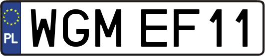 WGMEF11
