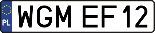 WGMEF12