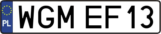 WGMEF13