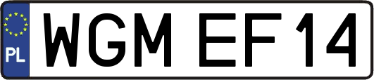 WGMEF14