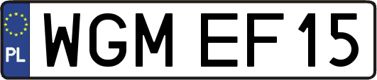WGMEF15
