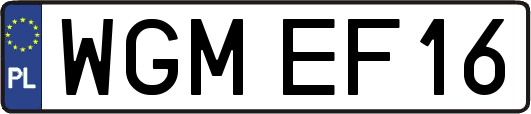 WGMEF16