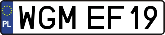 WGMEF19
