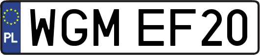 WGMEF20