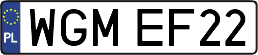 WGMEF22