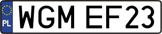 WGMEF23