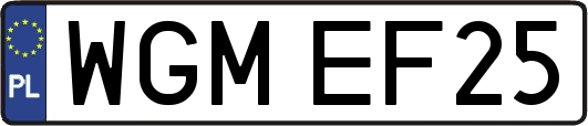 WGMEF25