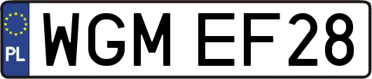WGMEF28