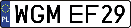 WGMEF29